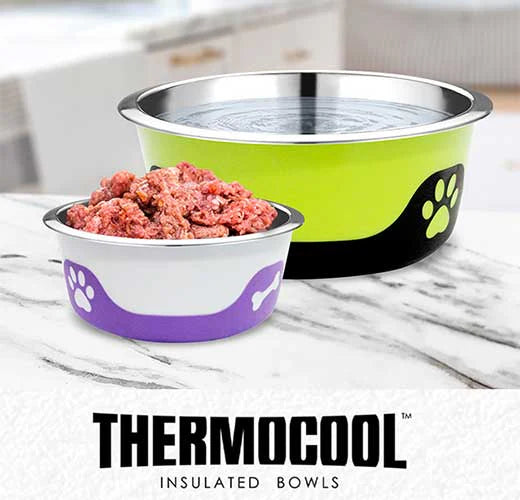 Top 10 Reasons Thermocool Insulated Bowls Are Must-Have for Pet Owners