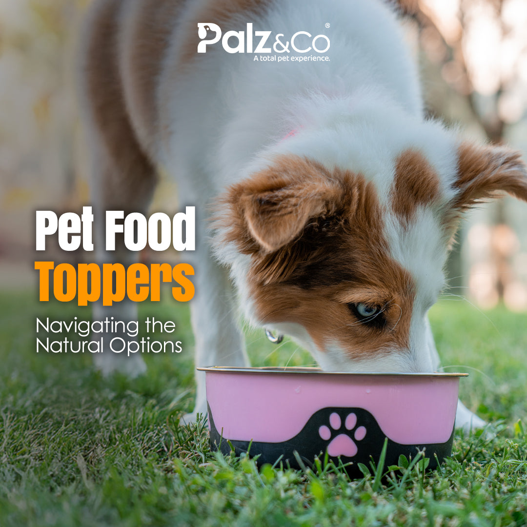 Pet Food Toppers: Navigating the Natural Options